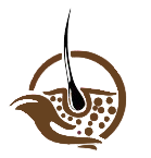 Dr. Ali Alwi Albeity